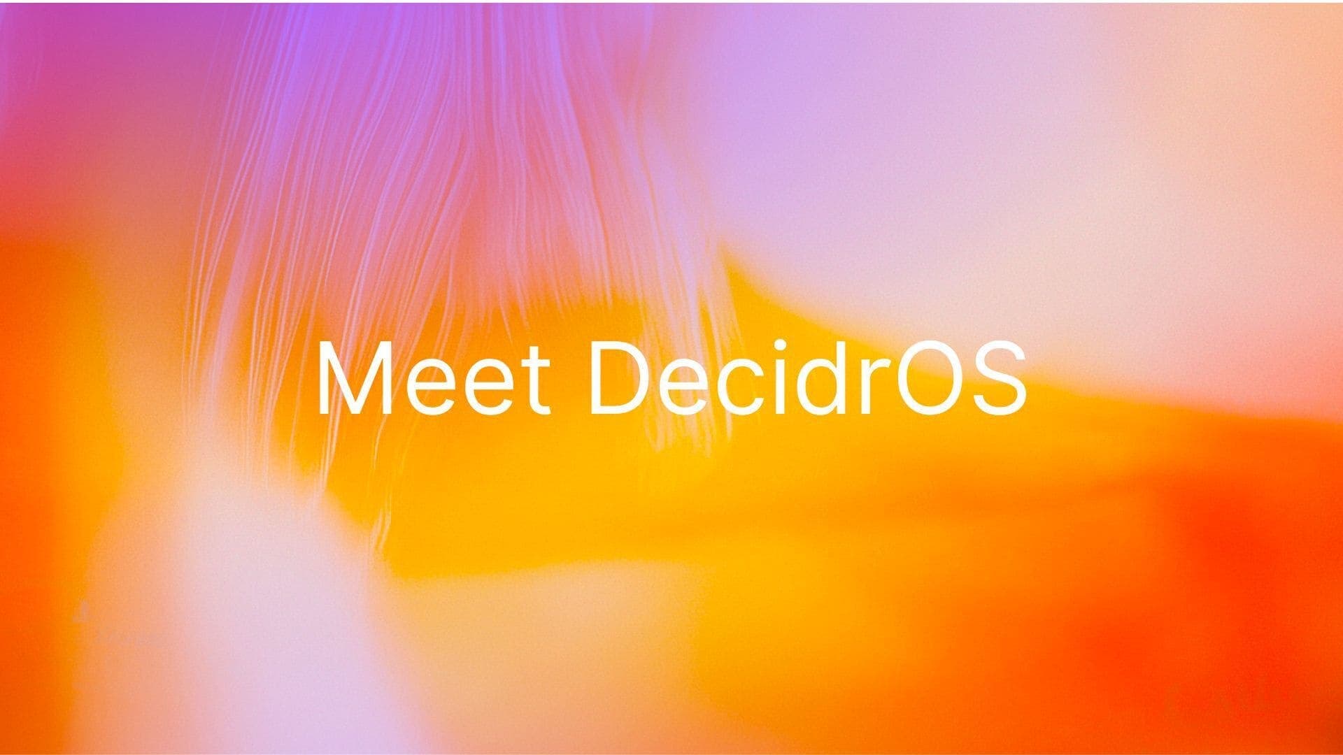 Meet DecidrOS