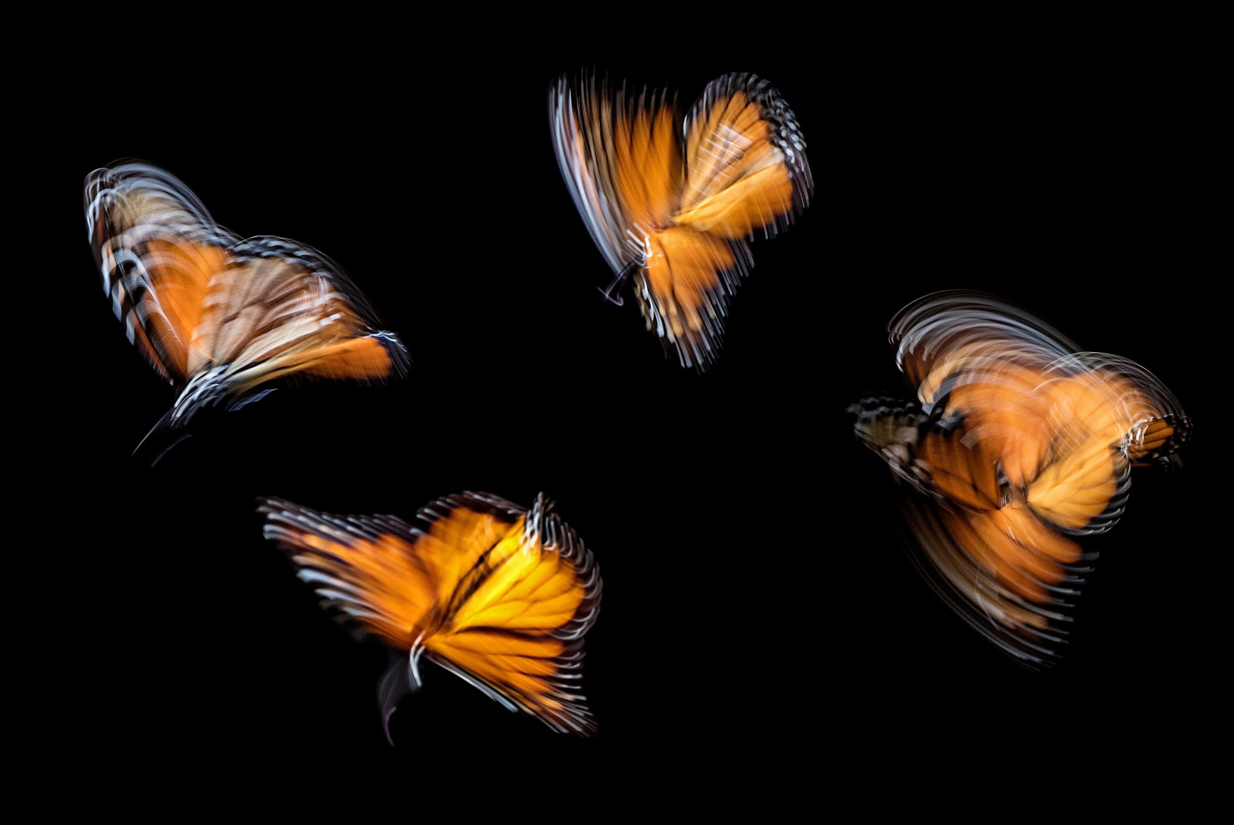 how AI is transforming leadership roles and fostering a flatter structure
