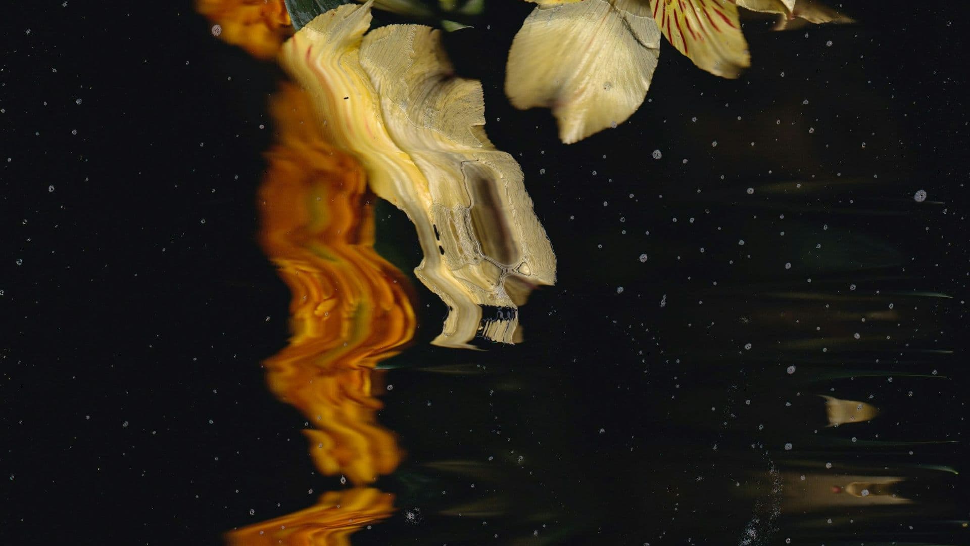 AI agents explained: frameworks, benefits and business use cases